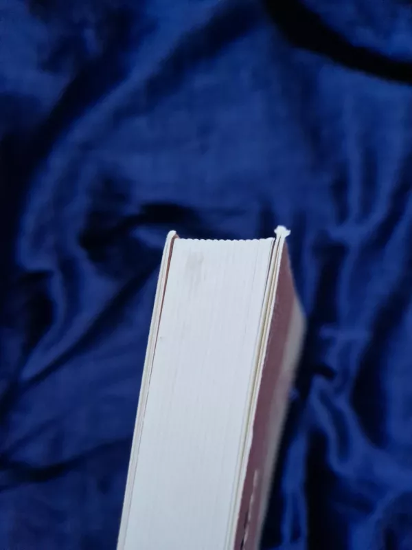 Ignotus Ignotas. Vilniaus vyskupas Ignotas Jokūbas Masalskis - Eligijus Raila, knyga 6