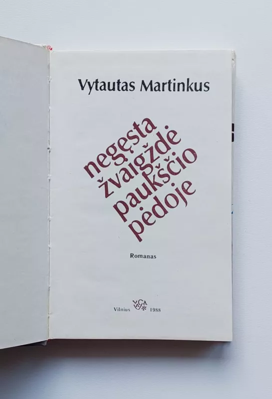 Negęsta žvaigždė paukščio pėdoje - Vytautas Martinkus, knyga 5