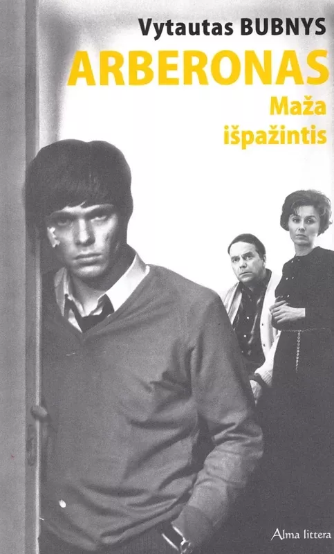 Arberonas: maža išpažintis - Vytautas Bubnys, knyga