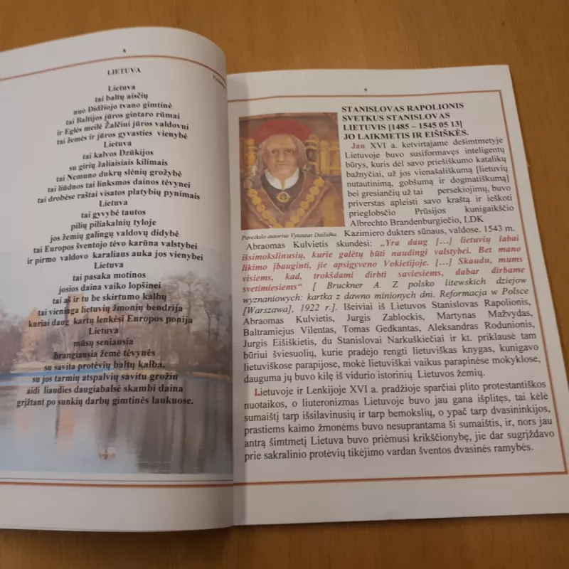 STANISLOVAS RAPOLIONIS JO LAIKMETIS IR MES - VYTAUTAS DAILYDKA, knyga 4