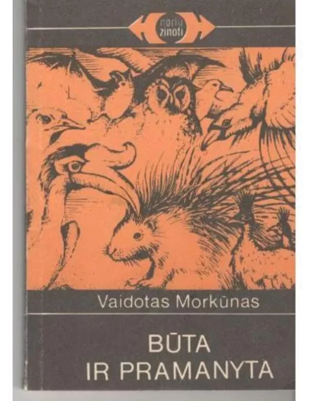 Būta ir pramanyta - Vaidotas Morkūnas, knyga