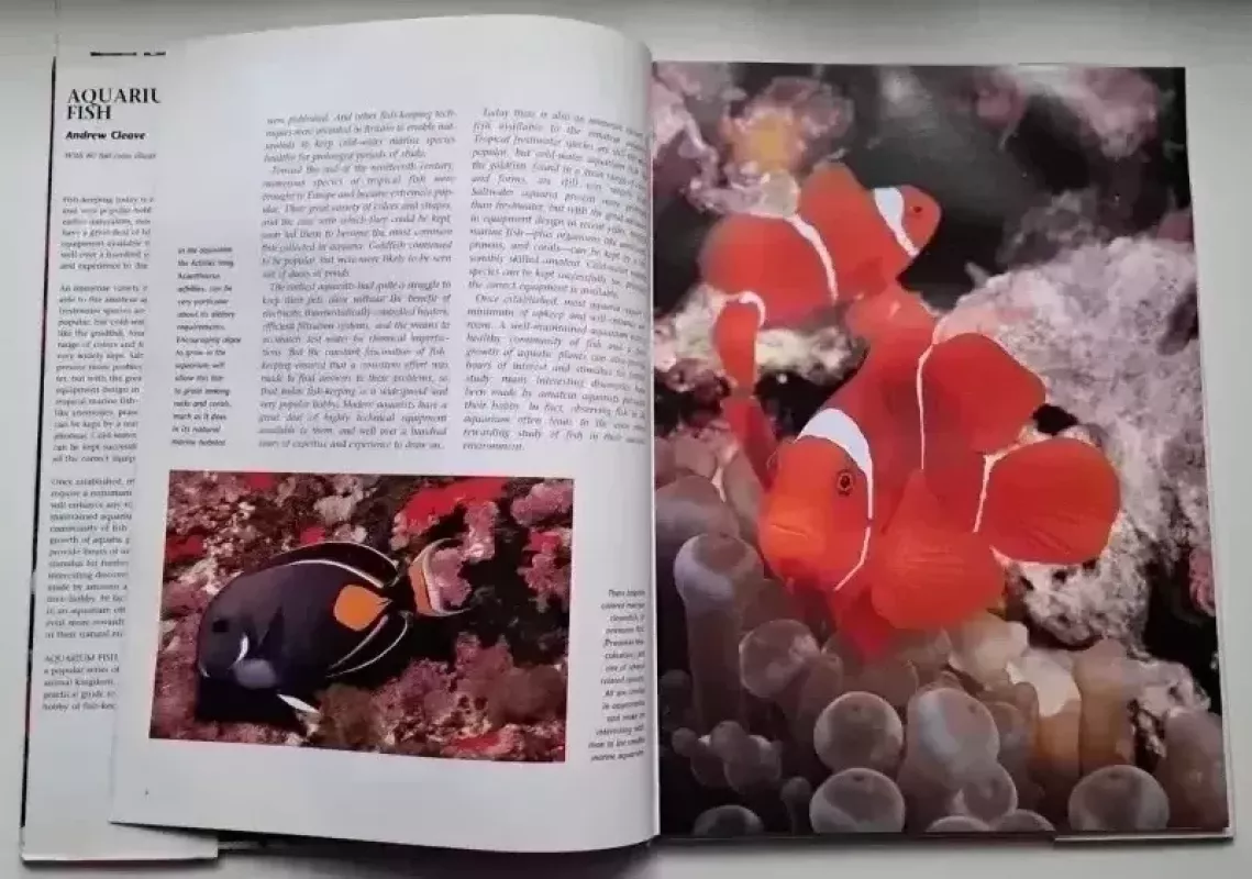 Aquarium Fish: A Portrait of the Animal World - Andrew Cleave, knyga 3