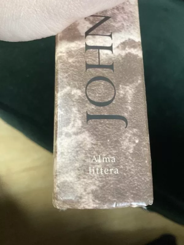 Našlė vieneriems metams - John Irving, knyga 3