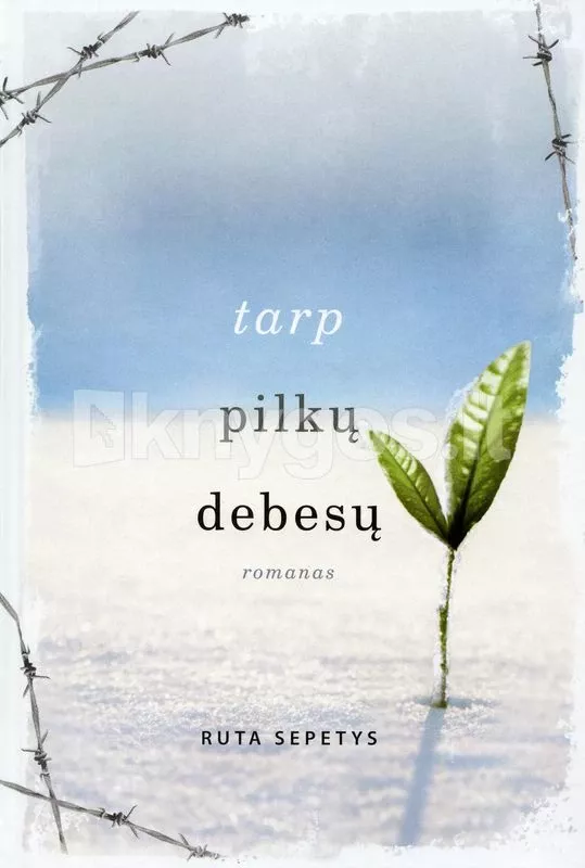 Tarp pilkų debesų - Šepetys Ruta, knyga