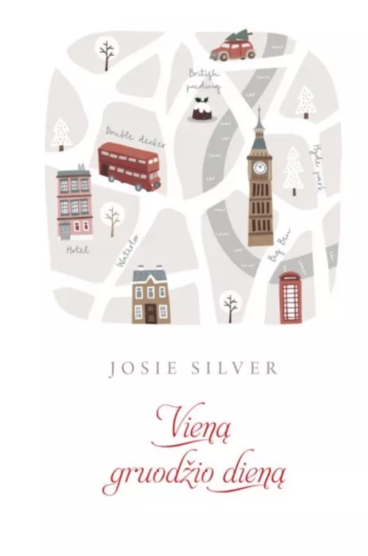 Vieną gruodžio dieną - Josie Silver, knyga
