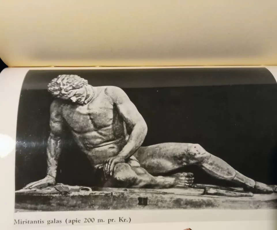 Meno filosofija (II dalis). Graikų skulptūra. Apie idealą mene - Hippolyte Taine, knyga 5