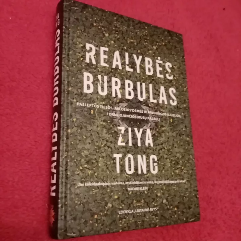 REALYBĖS BURBULAS: paslėptos tiesos, aklosios dėmės ir pavojingos iliuzijos, formuojančios mūsų pasaulį - Ziya Tong, knyga