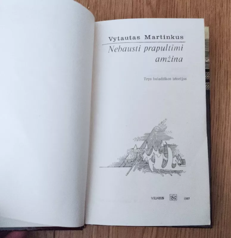Nebausti prapultimi amžina - Vytautas Martinkus, knyga 4