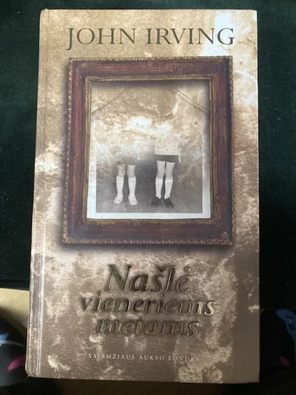 Našlė vieneriems metams - John Irving, knyga 4