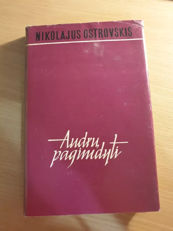 Audrų pagimdyti - Nikolajus Ostrovskis, knyga