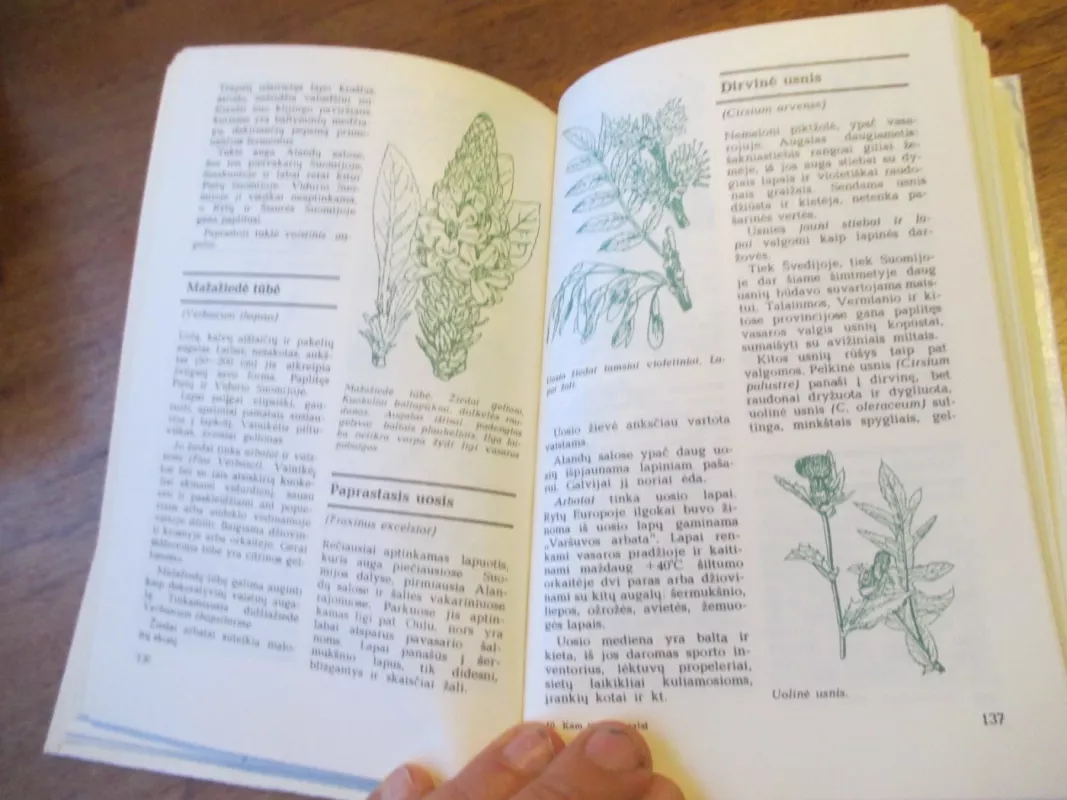 Kam tinka augalai - T. Rautavara, knyga 4