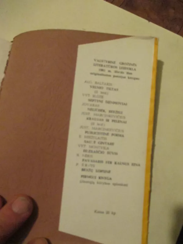 Kepurė dega - Algimantas Pabijūnas, knyga 6