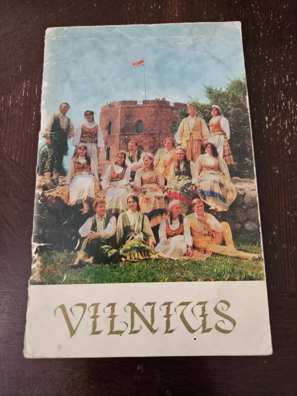 Vilnius - Arolfas Medonis, knyga 2