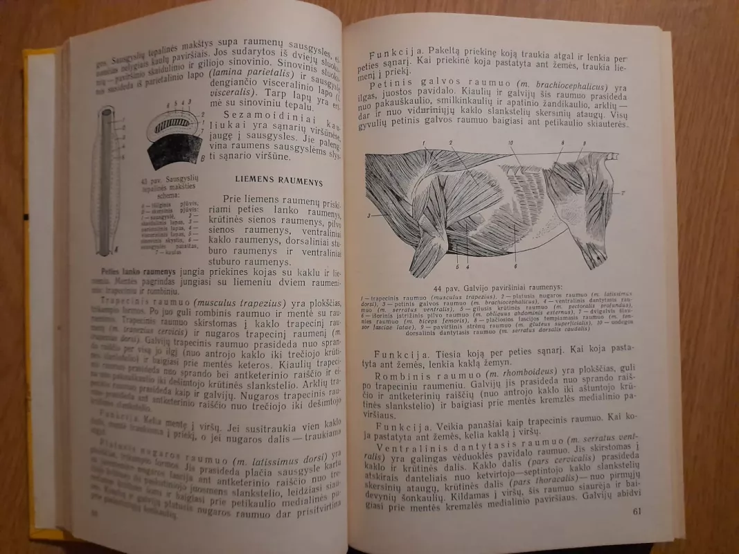 žemės ūkio gyvulių anatomija ir fiziologija - Šiaulys A. Kukenys D., knyga 3