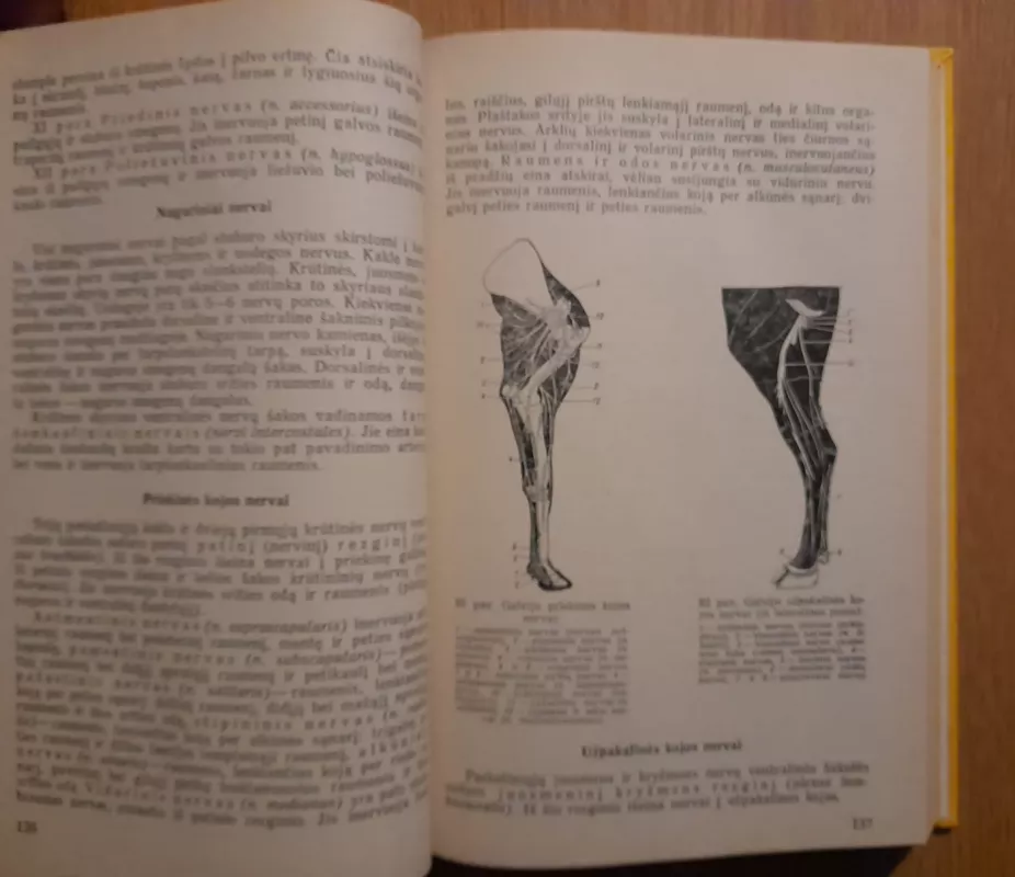 žemės ūkio gyvulių anatomija ir fiziologija - Šiaulys A. Kukenys D., knyga 5