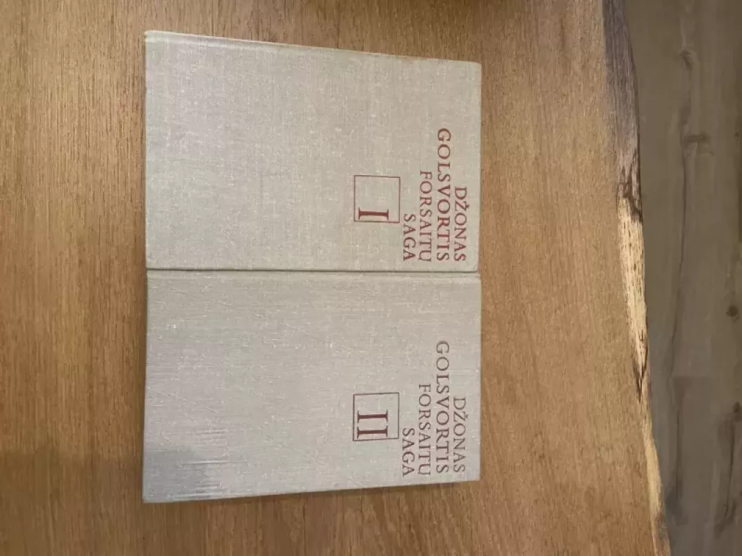 Forsaitų saga (2 tomai) - Džonas Golsvortis, knyga 3