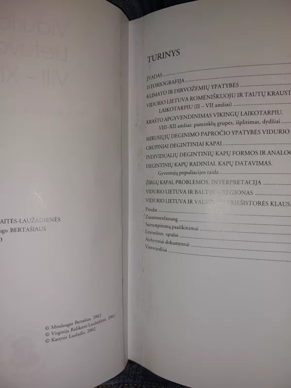 Vidurio Lietuva VII-XII a. - Mindaugas Bertašius, knyga