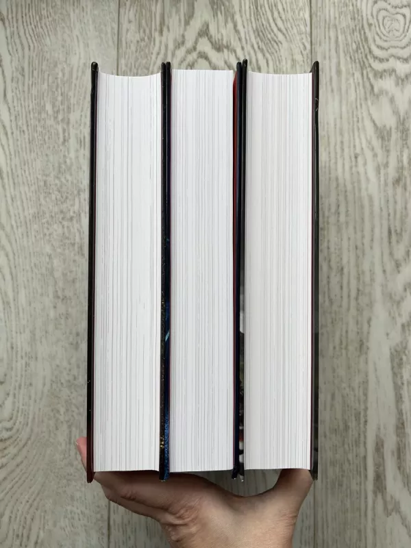 Trečiojo Reicho triumfas - Robertas Petrauskas, knyga 3