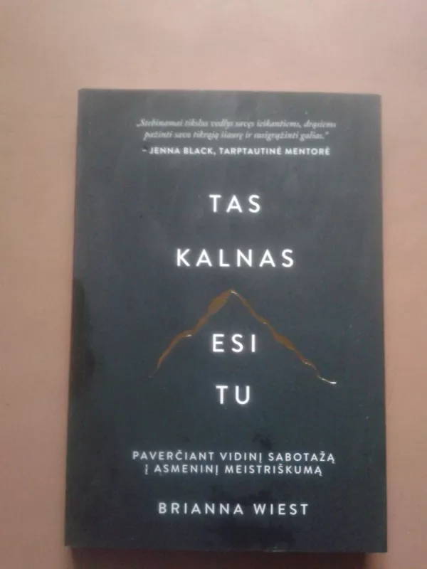 Tas kalnas esi tu - Brianna Wiest, knyga 2