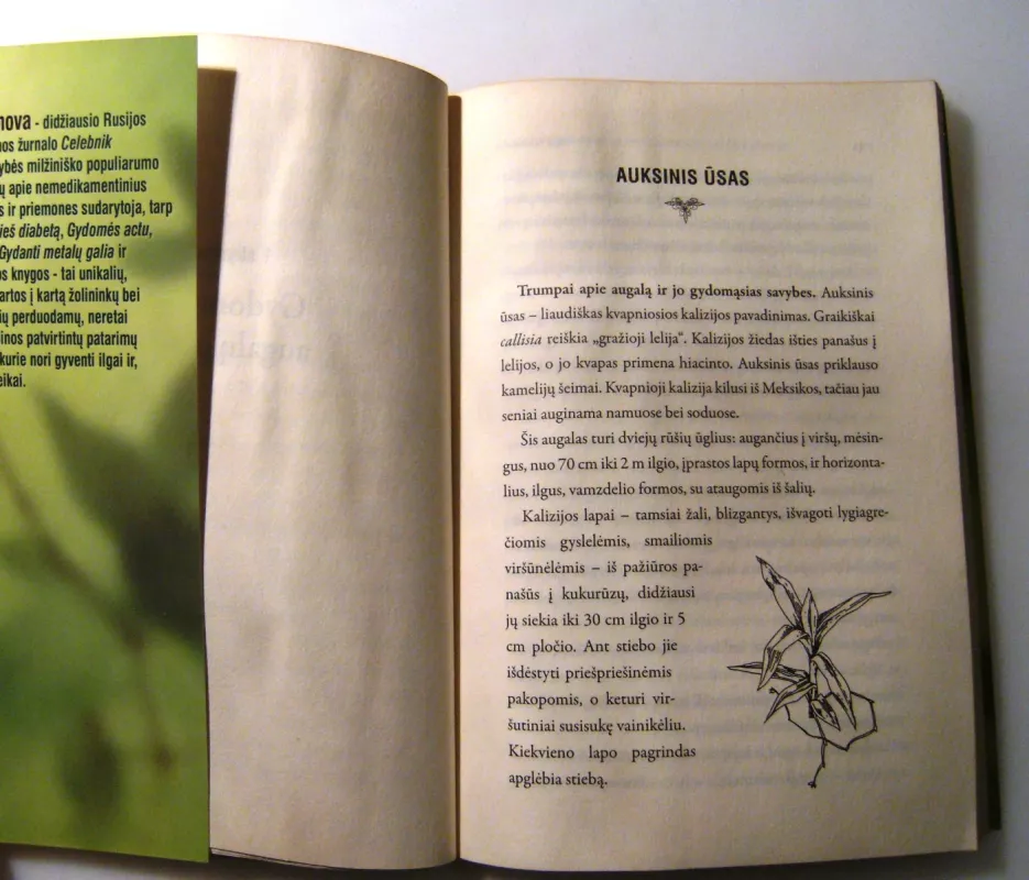 Indiškasis svogūnas, auksinis ūsas ir kiti gydomieji augalai - Olga Romanova, knyga 5