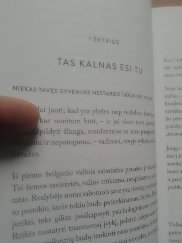 Tas kalnas esi tu - Brianna Wiest, knyga 5