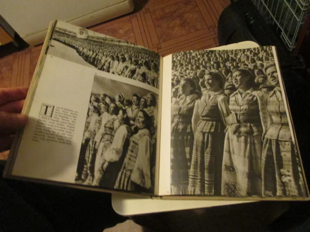 Dainų šventė - P. Pukys, knyga 6