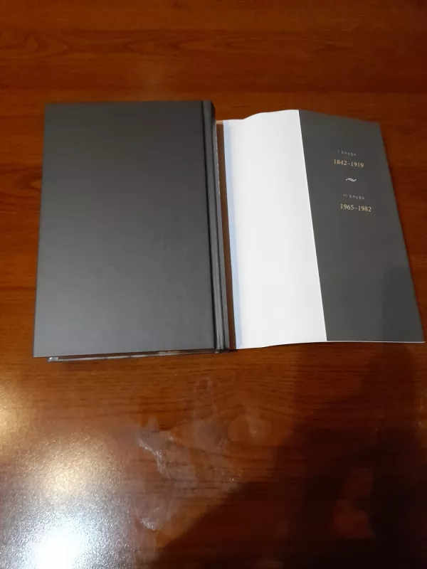 Grįžtamoji Galia III knyga (1983-1997) - Aleksandra Marinina, knyga 4