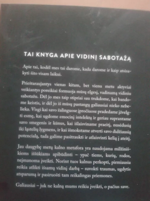 Tas kalnas esi tu - Brianna Wiest, knyga 4