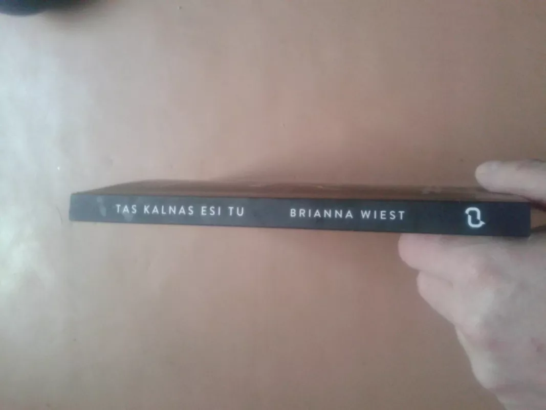 Tas kalnas esi tu - Brianna Wiest, knyga 3