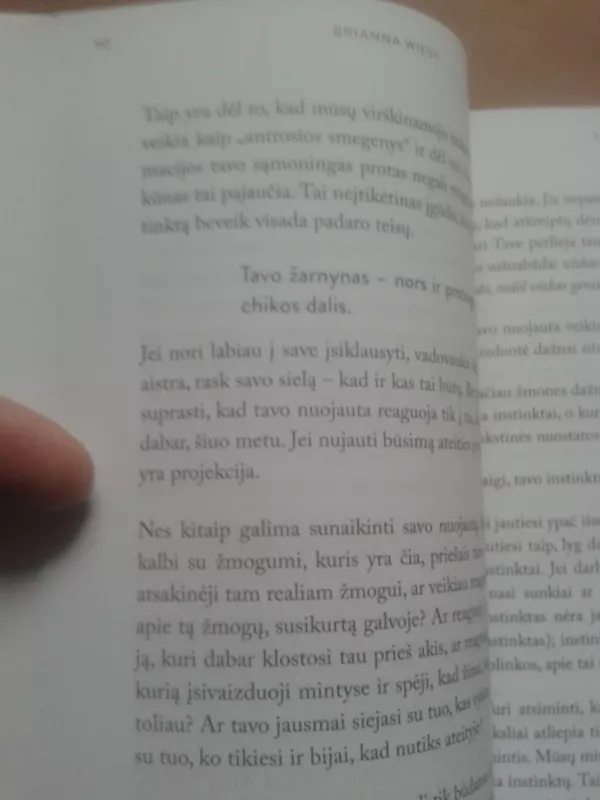 Tas kalnas esi tu - Brianna Wiest, knyga 6