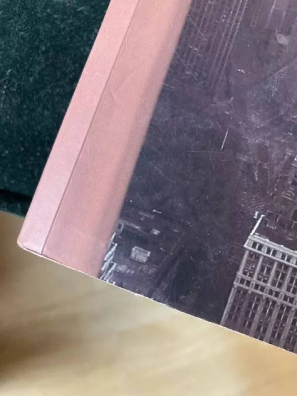 Traibeko dvyniai - Rachel Pine, knyga 5