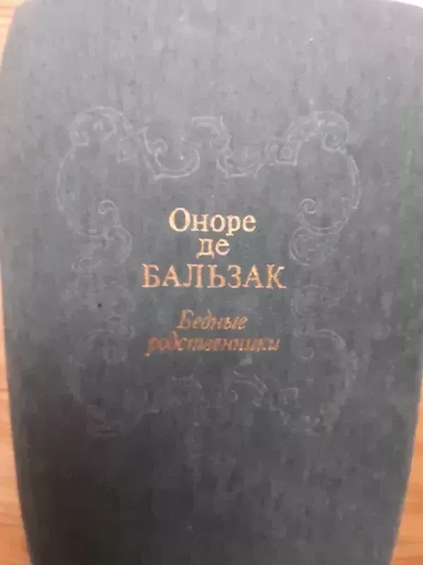 Pusseserė Beta - Onorė Balzakas, knyga
