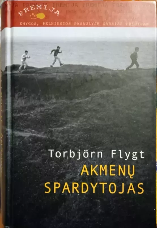 Akmenų spardytojas - Torbjorn Flygt, knyga