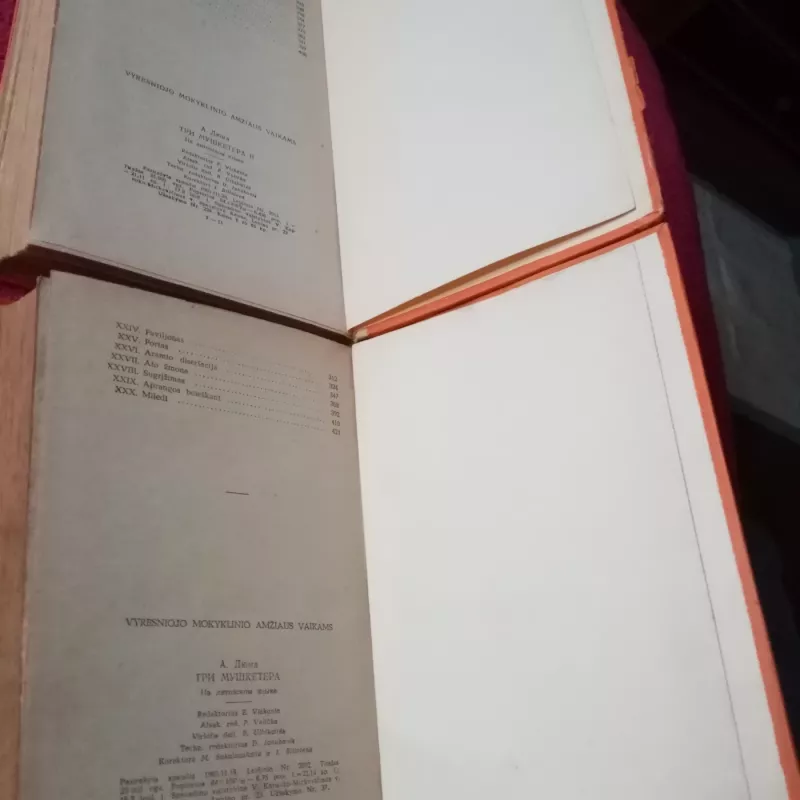 Trys muškietininkai (2 tomai) - Aleksandras Diuma, knyga 4