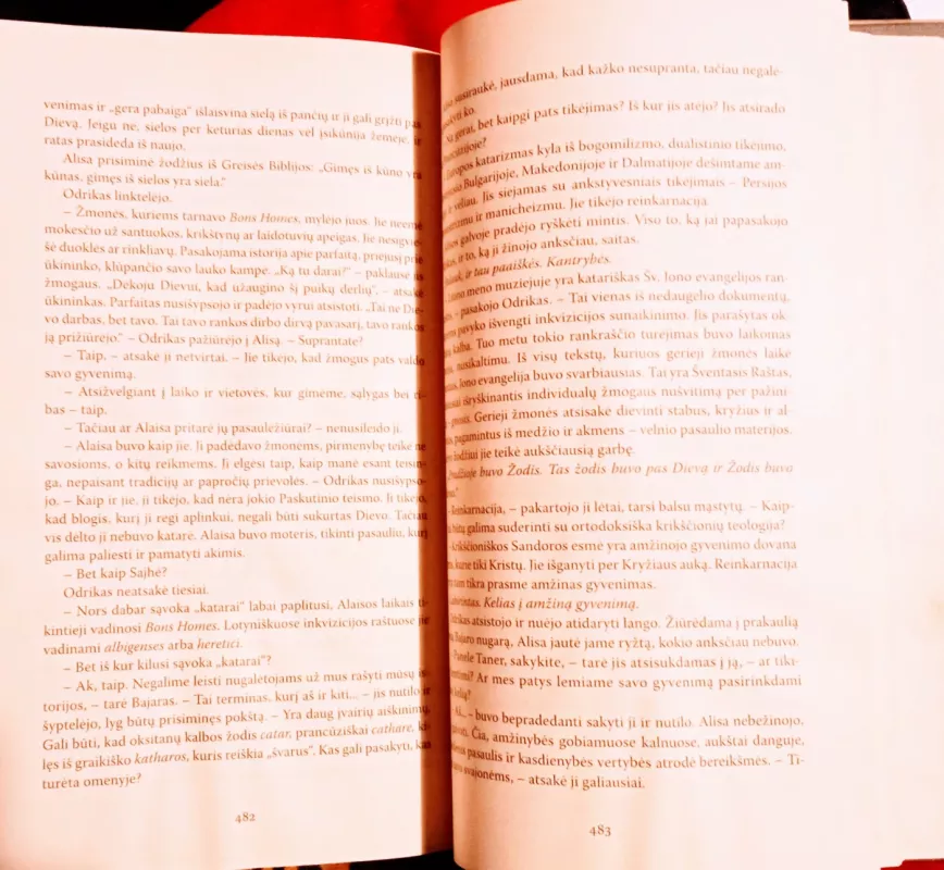 Labirintas - Kate Mosse, knyga 6