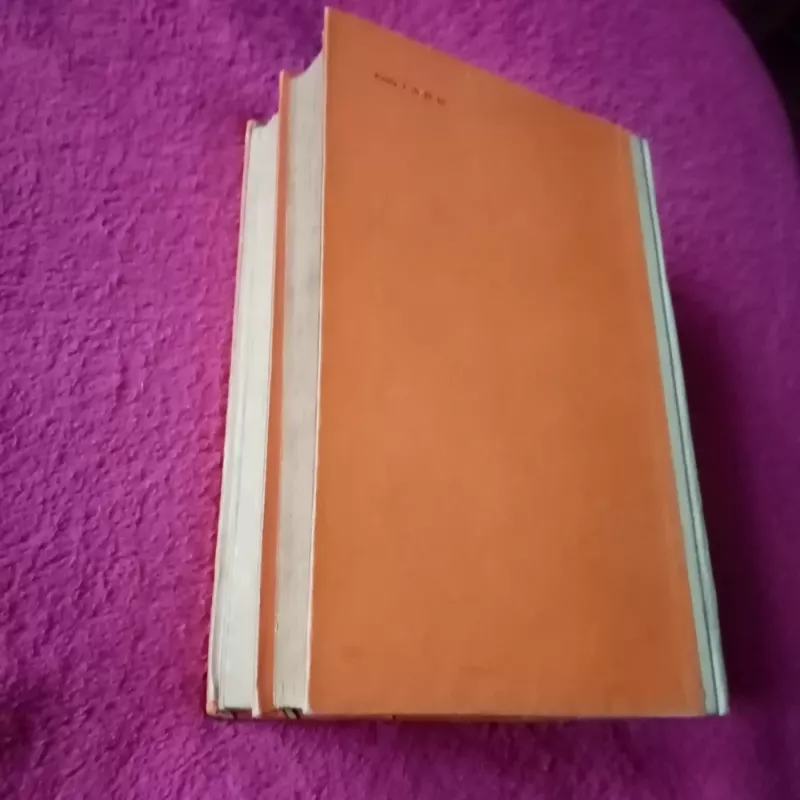 Trys muškietininkai (2 tomai) - Aleksandras Diuma, knyga 5