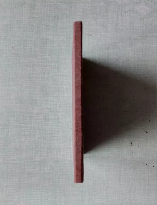 Vokiečių-lietuvių kalbų draudimo terminų žodynas  Versicherrungswörtenbuch deuch-litauish - Algis Patašius, knyga 3