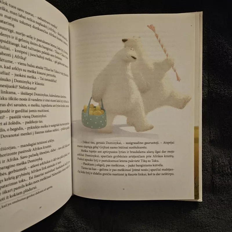 Arklio Dominyko meilė - Vytautas Landsbergis, knyga 3