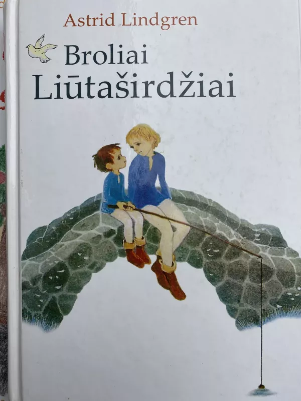 Broliai Liūtaširdžiai - Astrid Lindgren, knyga 2