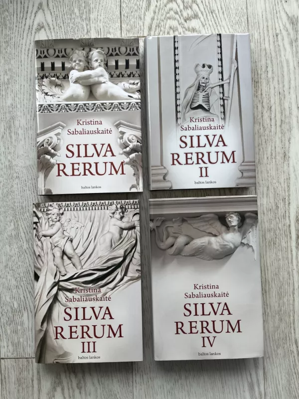 Silva Rerum I - Sabaliauskaitė Kristina, knyga 2