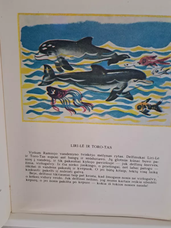 Delfinija - Dagmar Normet, knyga 4