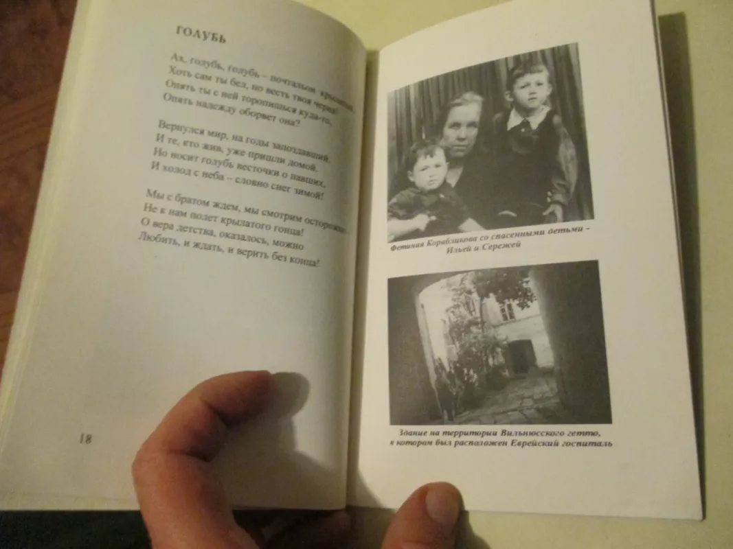 Balti paukščiai - Sergej Korablikov-Kovarskij, knyga 4