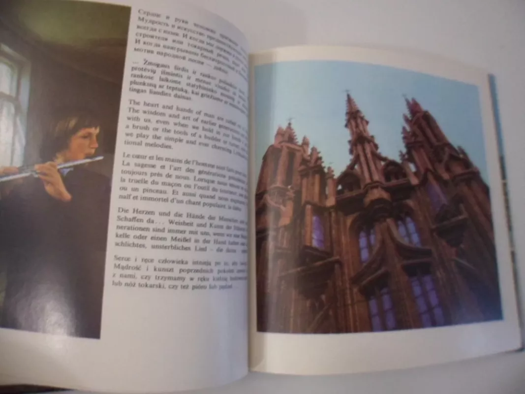 Вильнюс Vilnius Wilno - Rimantas Žilevičius, knyga 3