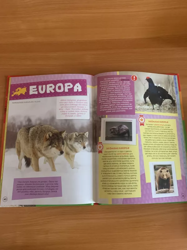 Didžioji gyvūnų kolekcija - Aldona Steponavičiūtė, knyga 4