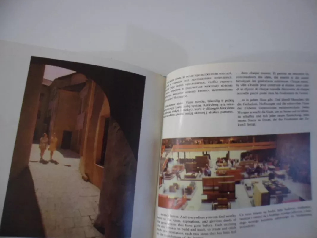 Вильнюс Vilnius Wilno - Rimantas Žilevičius, knyga 4