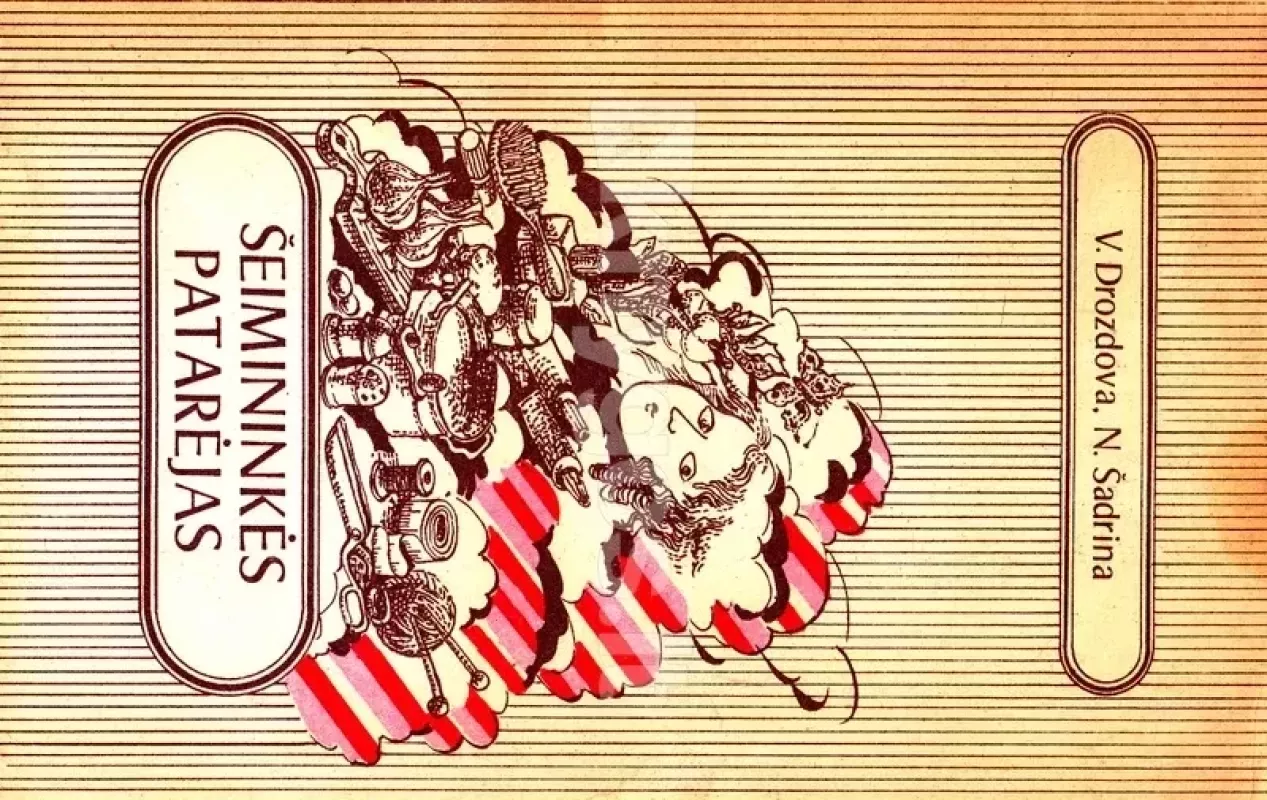 Šeimininkės patarėjas - V. Drozdova, N.  Šadrina, knyga 3