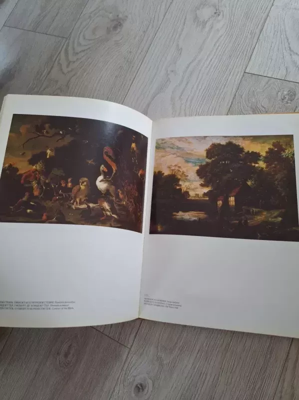 Vakarų Europos tapyba - Autorių Kolektyvas, knyga 2