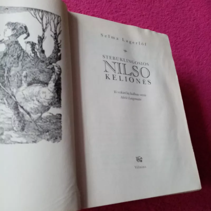 Stebuklingosios Nilso kelionės - Selma Lagerlöf, knyga 3