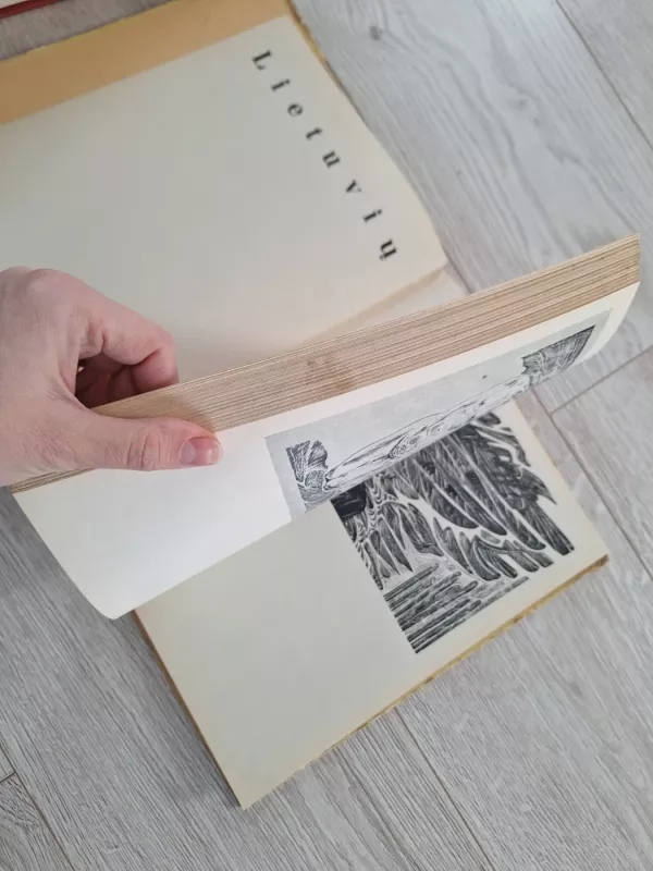 Lietuvių grafika 68 69 70 - Rimtautas Gibavičius, knyga 4