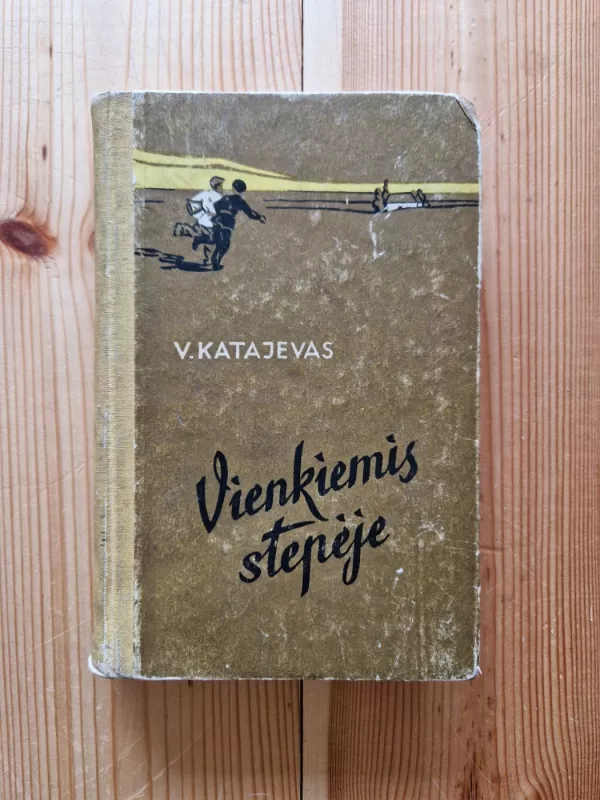 Vienkiemis stepėje - Valentinas Katajevas, knyga